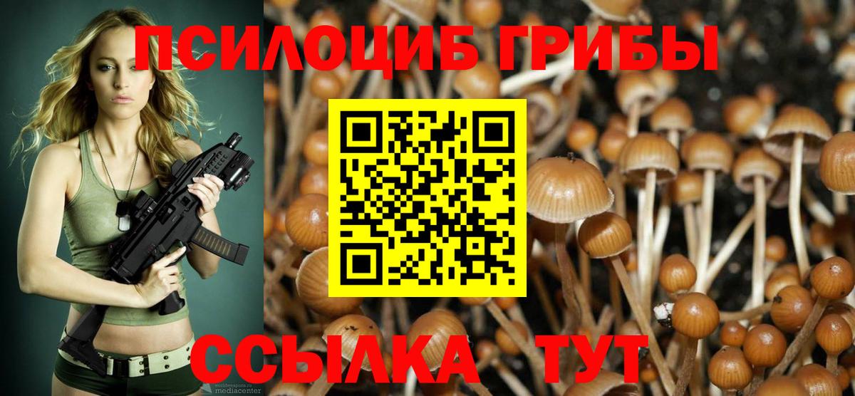 Псилоцибиновые грибы MAGIC MUSHROOMS Углич