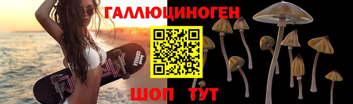 Псилоцибиновые грибы Cubensis  Вход с VPN  Углич  Галлюциногенные грибы Psilocybine cubensis 